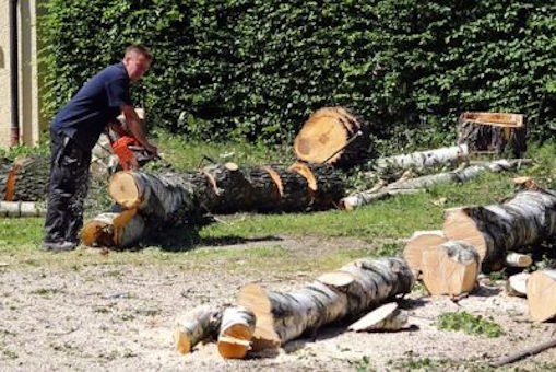 lenoir tree cutting service